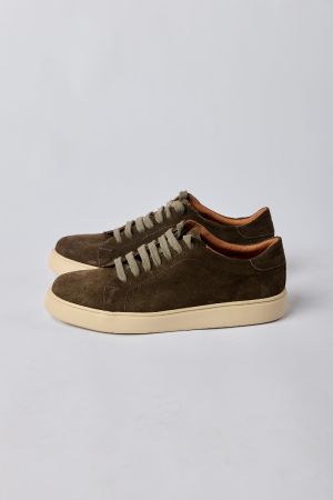ZAPATILLAS GAMUZA ACORD